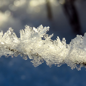 frost-g401b14f7e_1920